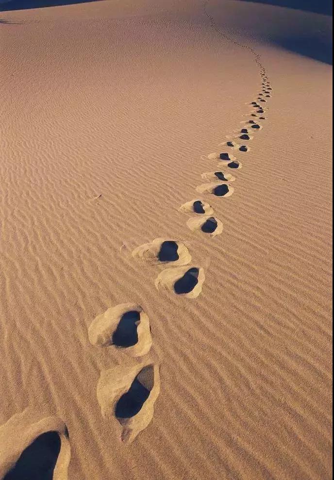 金沙(8087-js认证)娱场城-Officialwebsite