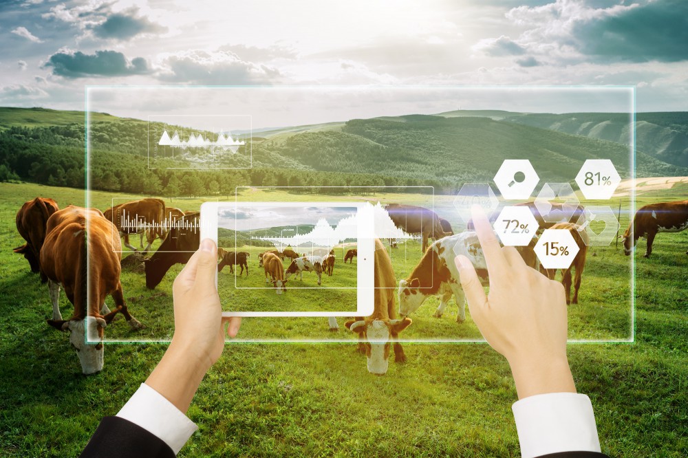 金沙(8087-js认证)娱场城-Officialwebsite