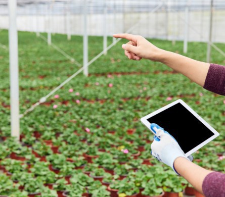 金沙(8087-js认证)娱场城-Officialwebsite