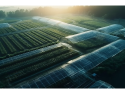 金沙(8087-js认证)娱场城-Officialwebsite